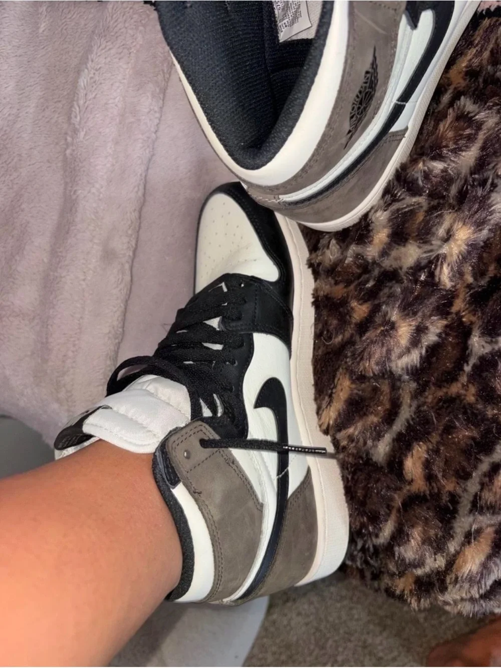 Jordan 1 Retro High - White/Black/Dark Mocha